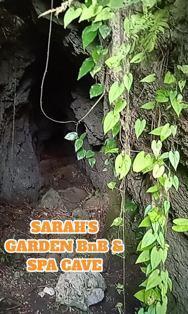 Sarah'S Garden Bnb & Spa Bed & Breakfast Clarin  Exterior photo